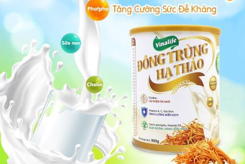 Đông trùng Hạ thảo: Món quà quý cho sức khỏe