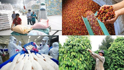 Tổng kim ngạch XNK hàng hóa năm 2020 đạt hơn 500 tỷ USD