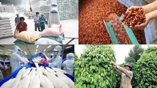 Tổng kim ngạch XNK hàng hóa năm 2020 đạt hơn 500 tỷ USD