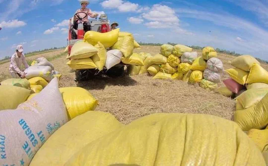 Viet Nam does not suffer food shortage, ministry says