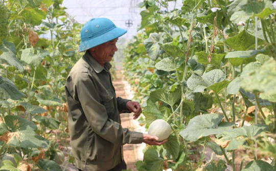 Huyện Ứng Hòa thúc đẩy tăng trưởng nông nghiệp