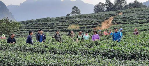 Bảo Thắng: Triển khai mô hình “dân vận khéo” gắn với xây dựng nông thôn mới