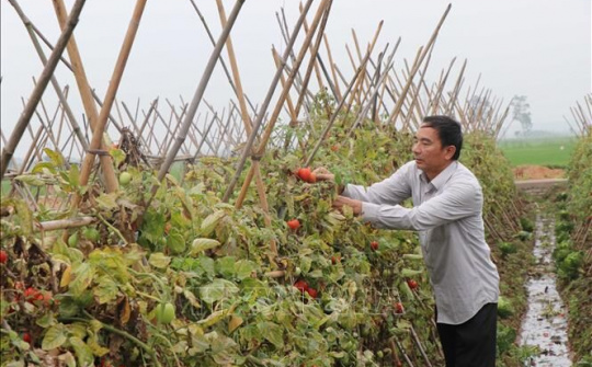 Bắc Ninh: Đổi mới, hoạt động hiệu quả và phát triển Quỹ Hỗ trợ nông dân