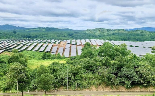 Pháp rót 100 triệu USD tín dụng xanh cho Việt Nam