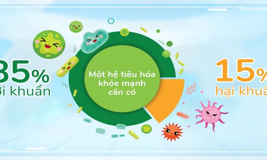 Chìa khóa giúp trẻ tăng đề kháng, ít ốm vặt cho năm học mới