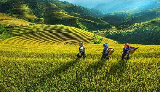 Phát triển KT-XH vùng đồng bào dân tộc thiểu số và miền núi giai đoạn 2021 - 2030