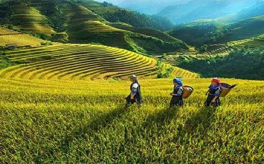 Phát triển KT-XH vùng đồng bào dân tộc thiểu số và miền núi giai đoạn 2021 - 2030