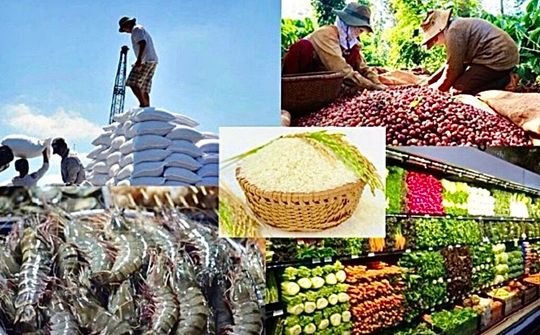 Khai thác hiệu quả các hiệp định thương mại tự do, mở rộng và đa dạng hóa thị trường xuất khẩu