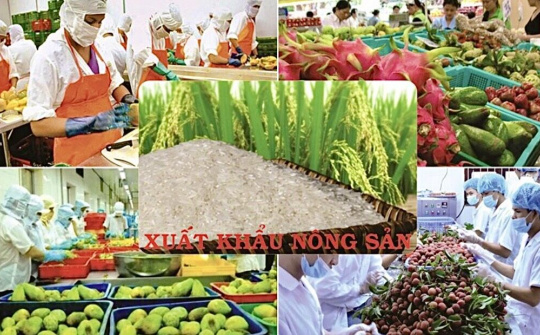 Không để lỡ nhịp tăng trưởng xuất khẩu nông sản