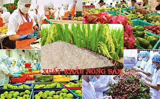 Không để lỡ nhịp tăng trưởng xuất khẩu nông sản