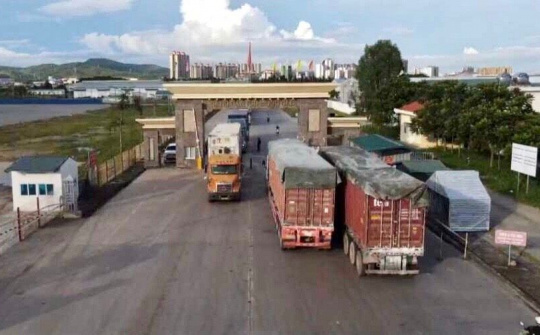 Móng Cái: Đẩy mạnh hoạt động xuất nhập khẩu theo hướng chính ngạch