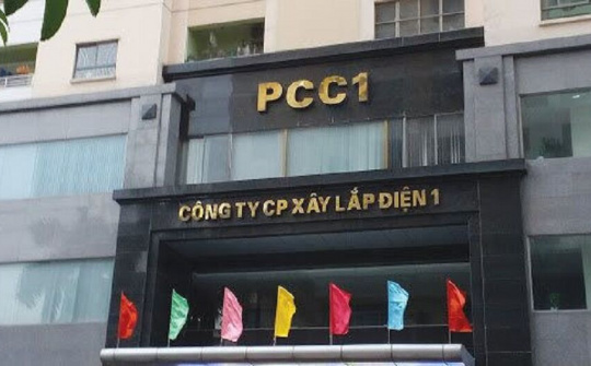 Xây lắp điện 1 chốt quyền chia cổ tức 20% bằng cổ phiếu