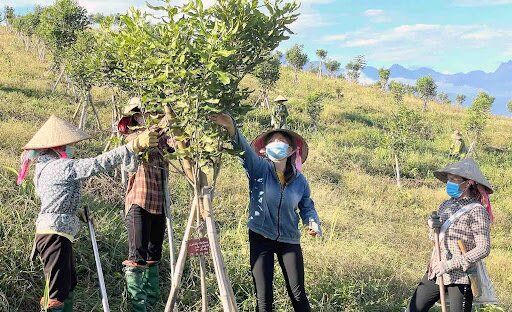 Lai Châu: Tăng cường công tác lãnh đạo, chỉ đạo Hội và phong trào phụ nữ