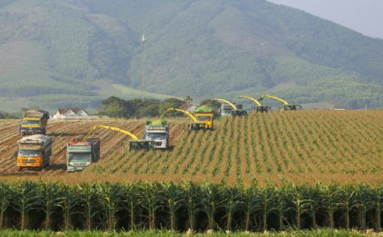 Giải thưởng Chất lượng quốc tế vinh danh nhà sản xuất sữa tươi sạch từ đồng đất Việt