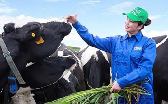 GTNFoods (GTN) bị xử phạt 70 triệu vì chậm công bố thông tin