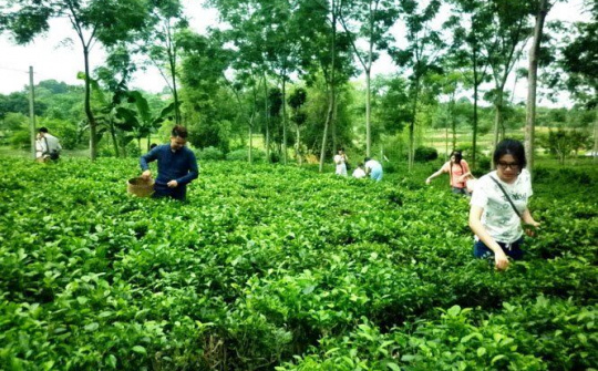 100% số xã huyện Ba Vì sẽ hoàn thành mục tiêu xây dựng nông thôn mới