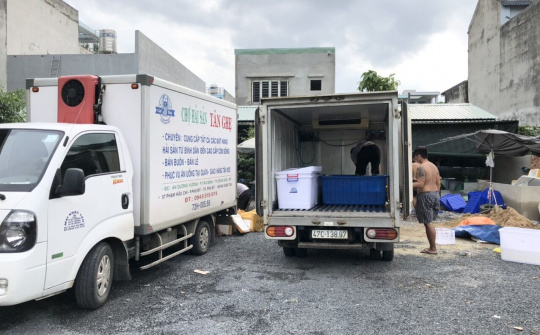 Chợ Hải Sản bình ổn giá giữa mùa dịch cùng những mảnh đời 'dừng chân'.