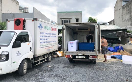 Chợ Hải Sản bình ổn giá giữa mùa dịch cùng những mảnh đời 'dừng chân'.