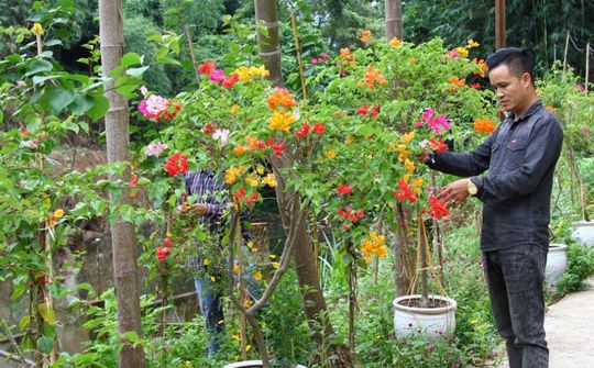Doanh nhân Nguyễn Đức Lâm và hành trình 20 năm vươn tới thành công