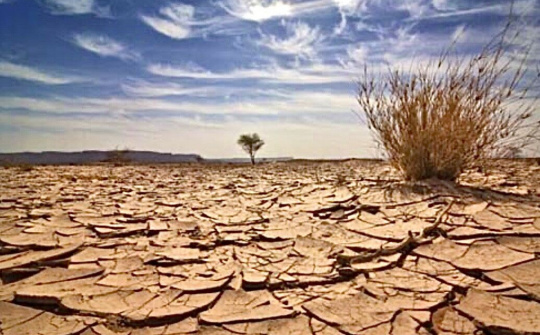 Việt Nam làm gì để phòng, chống thiên tai do biến đổi khí hậu?