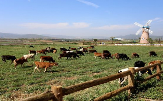 Liên doanh của Vinamilk ra mắt sản phẩm tại Philippines, đặt mục tiêu chiếm 10% thị phần sữa