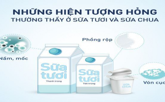 Bảo quản sữa tươi, sữa chua đúng cách – Điều đơn giản nhưng nhiều người bỏ qua