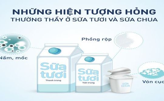 Bảo quản sữa tươi, sữa chua đúng cách – Điều đơn giản nhưng nhiều người bỏ qua