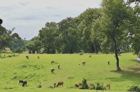 Miền Đồi - Bước chuyển mình của miền sơn cước