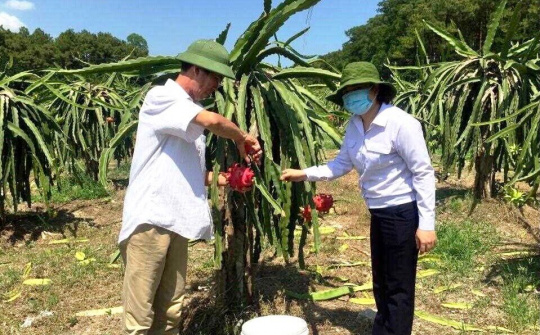 Quảng Ninh: Phát triển nông nghiệp theo hướng hiện đại, bền vững