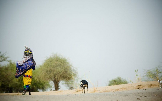 Vì sao biến đổi khí hậu lại khiến thế giới bất ổn?