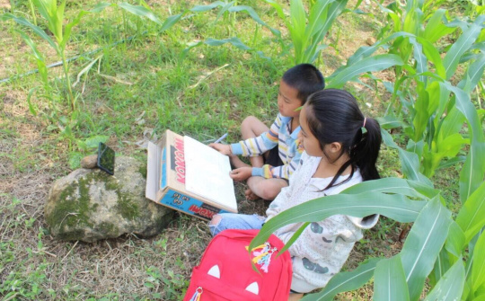 Lào Cai: Thành quả từ chương trình “Sóng và máy tính cho em”