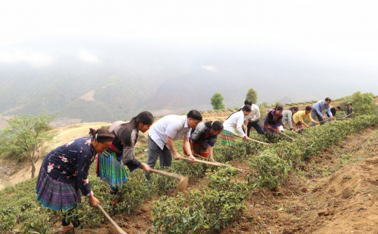 Lai Châu: Tập trung phát triển thế mạnh nông - lâm nghiệp