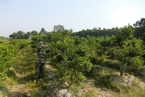 Hợp Tiến coi việc xây dựng nông thôn mới là cơ hội, động lực cho sự phát triển