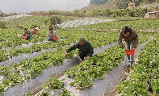 Sơn La từng bước chuyển mình, thay đổi diện mạo mới