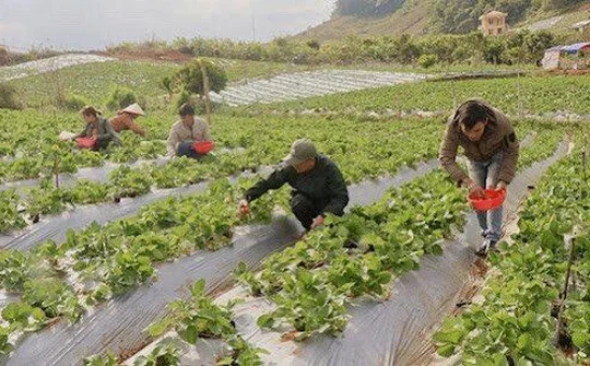 Sơn La từng bước chuyển mình, thay đổi diện mạo mới