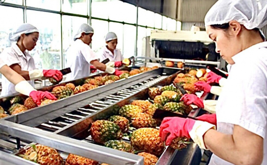 Việt Nam với tiềm năng lớn xuất khẩu rau quả sang EU