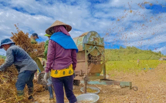Ngân hàng CSXH Đắk Nông: “Đồng hành phát triển kinh tế vùng đồng bào DTTS”