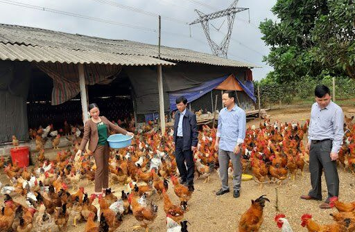 Lạc Sơn lan toả phong trào học tập và làm theo tấm gương đạo đức Hồ Chí Minh