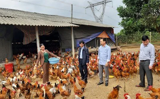 Lạc Sơn lan toả phong trào học tập và làm theo tấm gương đạo đức Hồ Chí Minh