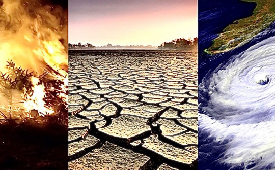 Việt Nam chủ động, tích cực ứng phó với biến đổi khí hậu