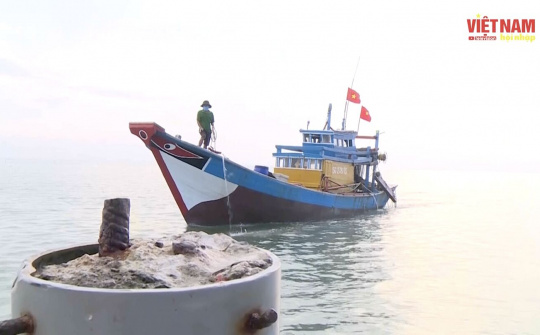 BẢN TIN VIỆT NAM HỘI NHẬP (Tuần 1 tháng 10/2021)