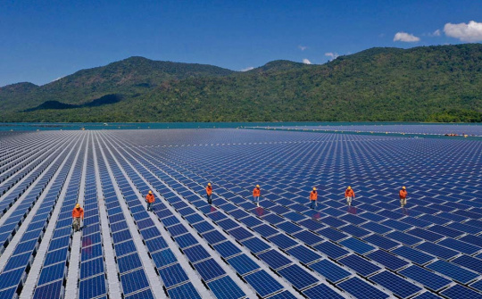 Millions of dollars poured into green growth projects