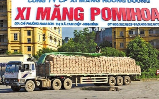 Thanh tra Chính phủ: '3 doanh nghiệp xi măng ở Ninh Bình thiếu 32,5 tỷ đồng thuế tài nguyên'