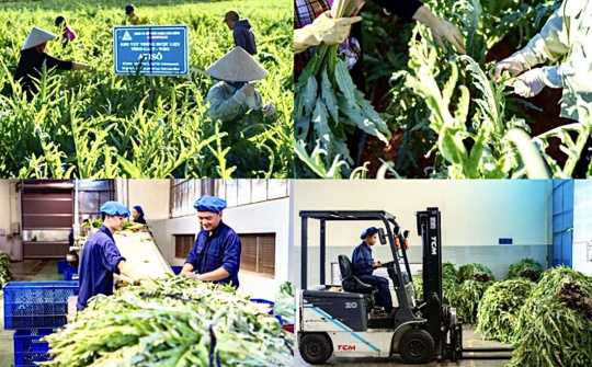 Chiến lược quốc gia về tăng trưởng xanh