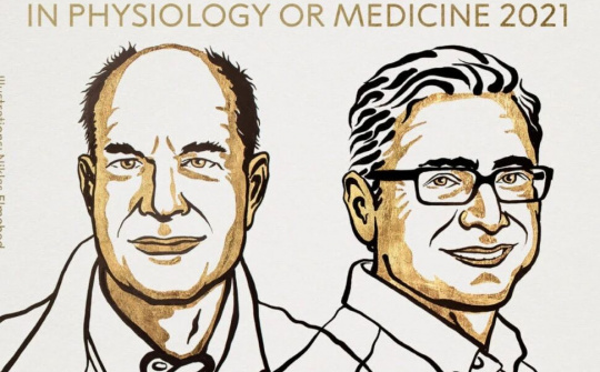 Nobel Y Học 2021 vinh danh hai nhà khoa học Mỹ