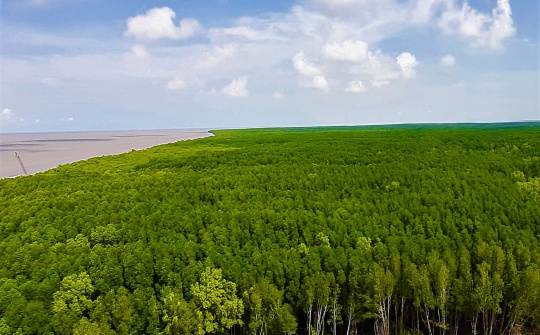 Bảo vệ và phát triển rừng vùng ven biển ứng phó với BĐKH và thúc đẩy tăng trưởng xanh