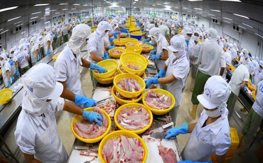 Xuất khẩu thủy sản - Điểm sáng trong quan hệ thương mại Việt Nam-Australia