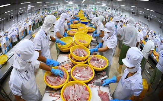 Xuất khẩu thủy sản - Điểm sáng trong quan hệ thương mại Việt Nam-Australia