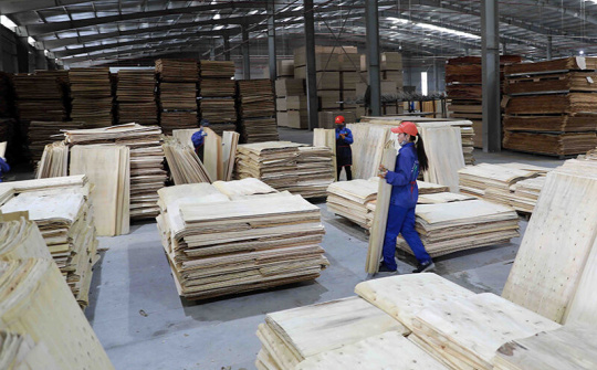 Liên kết để phát triển bền vững