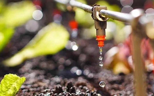 Điện Biên: Ứng dụng công nghệ vào sản xuất nông nghiệp